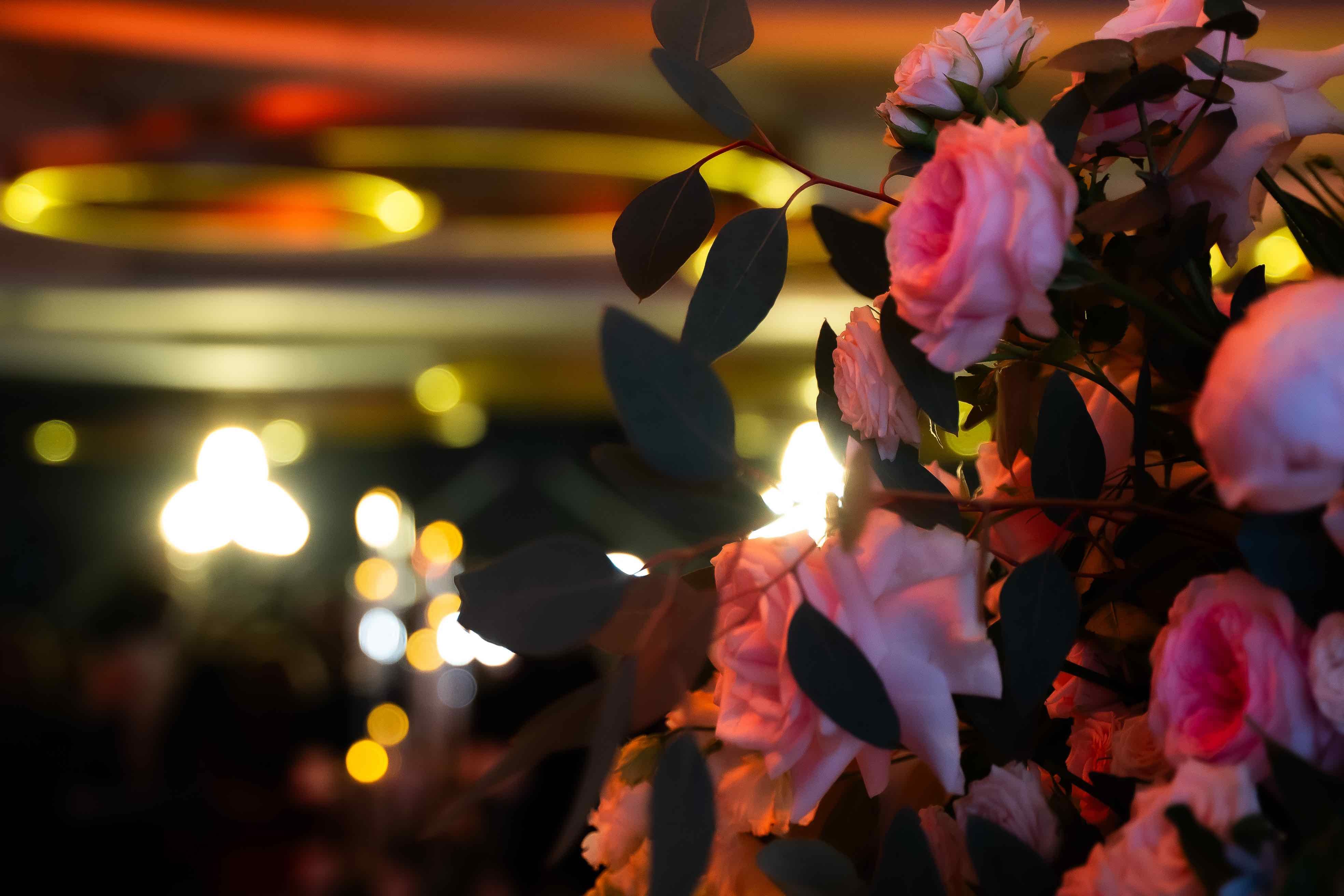 Photo animation DJ mariage haut de gamme ASE Events Sartrouville